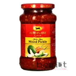 MIXED PICKLES AEROPLANE    মিশ্র আচারের বিমান