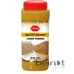 PRAN CUMIN POWDER CAN  প্রাণ কুমিন পাউডার ক্যান