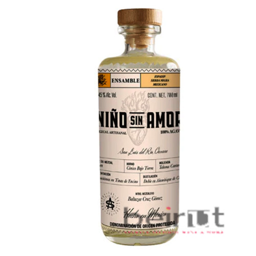 NINO SIN AMOR ENSAMBLE