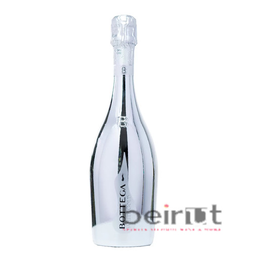 BOTTEGA SILVER BOTTEGA SILVER