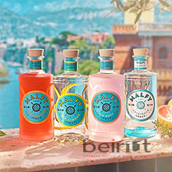 MALFY GIN
