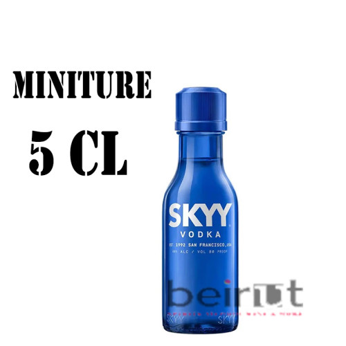SKYY VODKA MINI